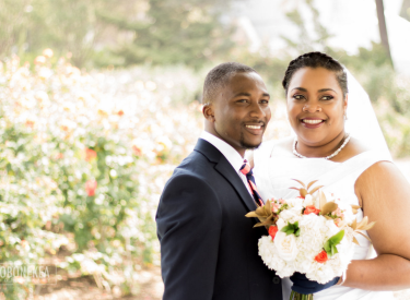 Screenshot-2016-08-13-13.04.34